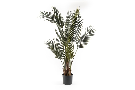 Gr&#252;npflanze Palme im Topf 150cm