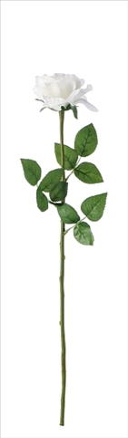 Rose weiss 59cm