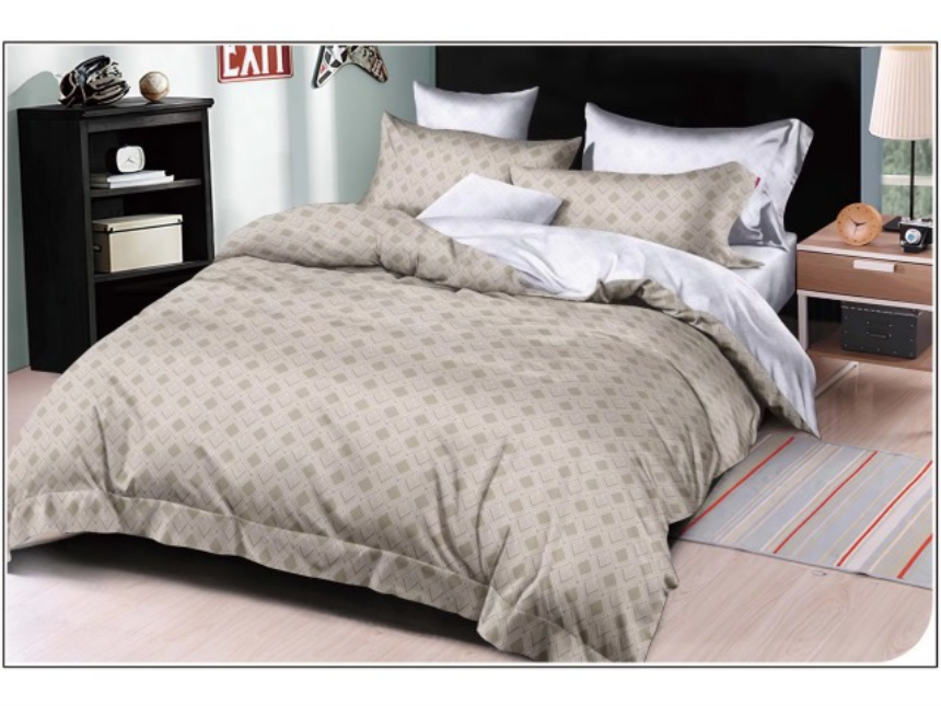Bettgarnitur Microfaser 160x210 + 1x65x100cm