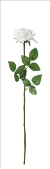 Rose weiss 59cm