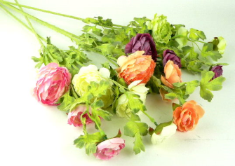 Ranunkel mit mehreren Bl&#252;ten und Bl&#228;ttern 72cm 5ass