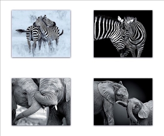 Dekoration Bild Elefant/Zebra 4ass 50x40cm