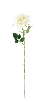 Rose weiss 54cm