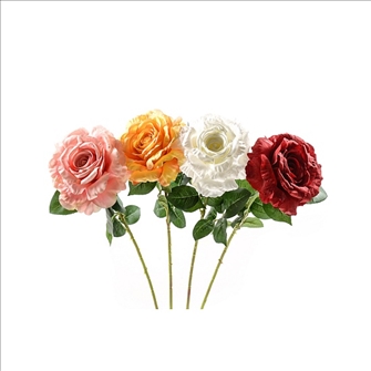 Rose 4ass 78cm