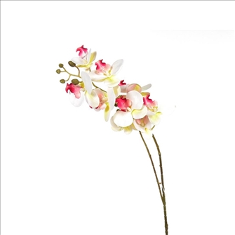 Orchideenzweig weiss/rosa 9 Blüten 86cm