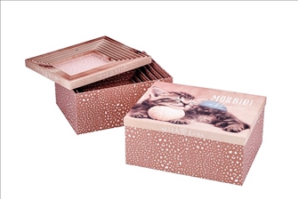 Geschenkbox Katzen 10er Set