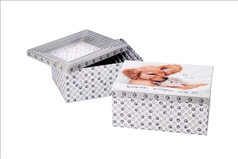 Geschenkbox Hund und Katze 10er Set