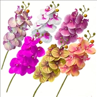 Orchidee 3D 6ass