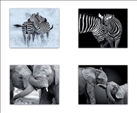 Dekoration Bild Elefant/Zebra 4ass 50x40cm