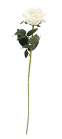 Rose weiss 74cm