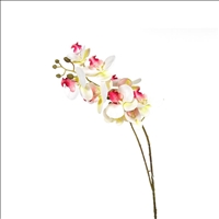 Orchideenzweig weiss/rosa 9 Bl&amp;#252;ten 86cm